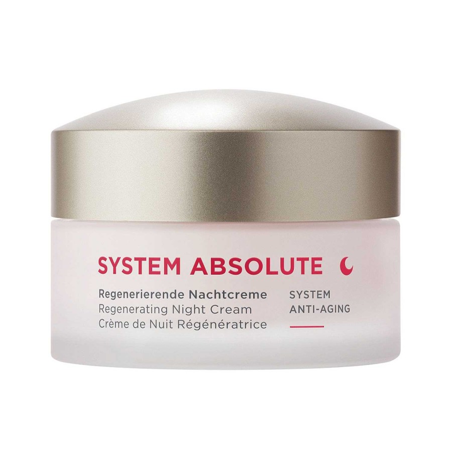 Pflege ANNEMARIE BÖRLIND Anti-Aging | System Absolute Regenerierende Nachtcreme