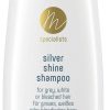 Pflege Marlies Möller Shampoo | Silver Shine Shampoo